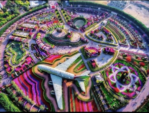 Dubai-Miracle Garden