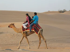 Family-friendly places to visit in Dubai
