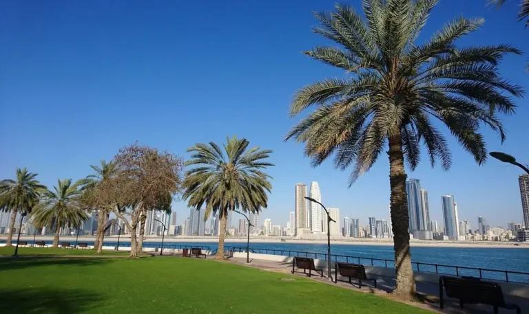 15 Best Beaches in Dubai 5